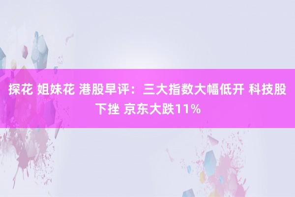 探花 姐妹花 港股早评：三大指数大幅低开 科技股下挫 京东大跌11%