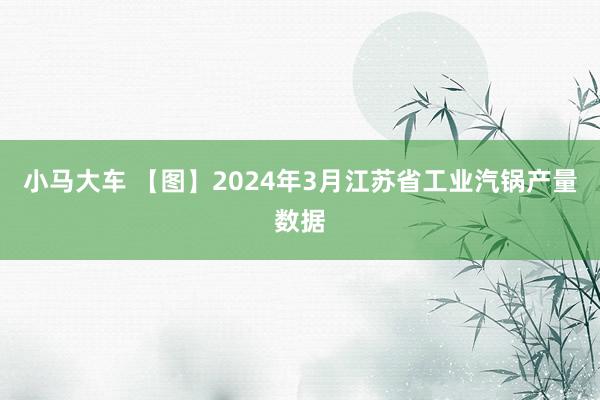 小马大车 【图】2024年3月江苏省工业汽锅产量数据